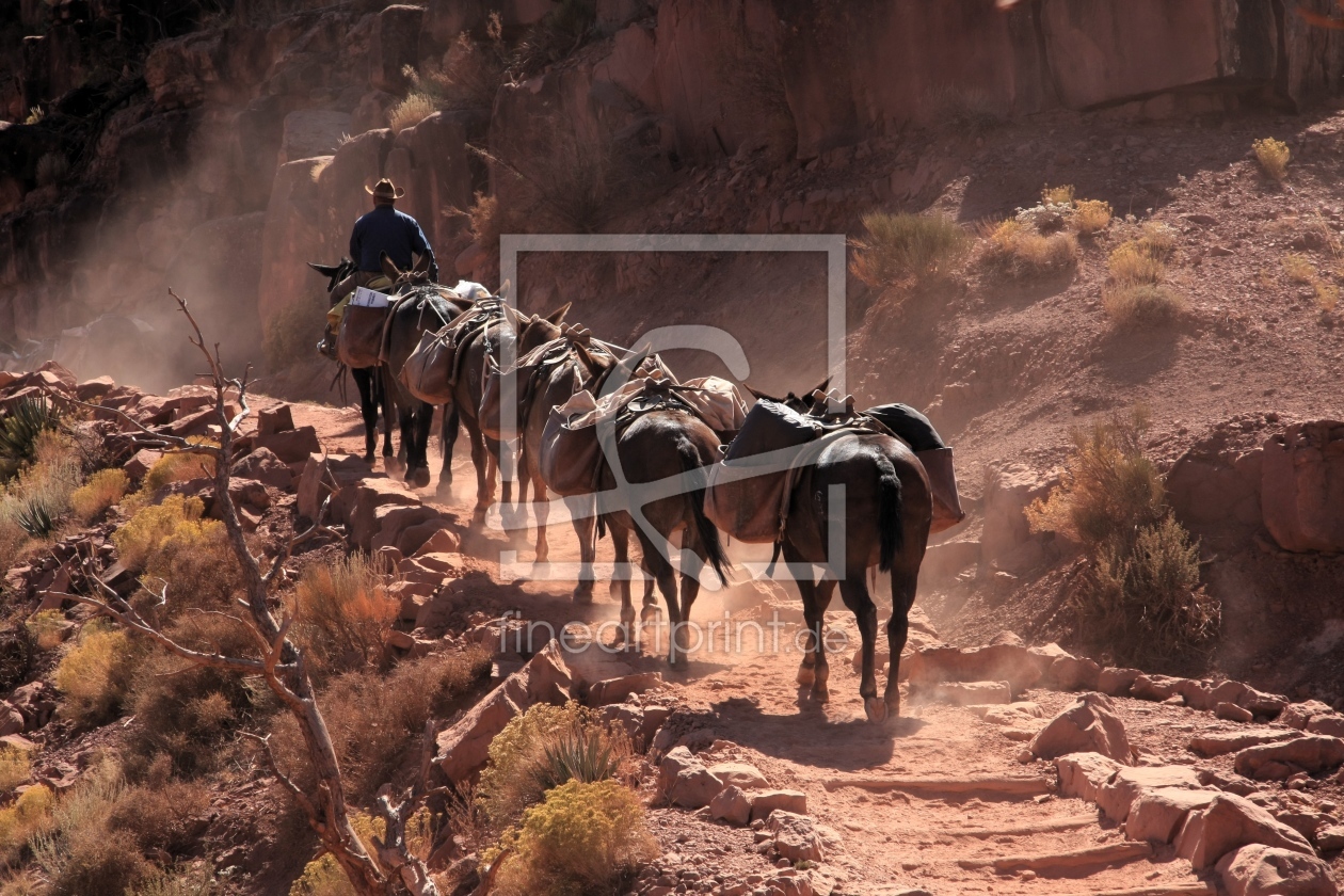 Bild-Nr.: 9308101 Karavane im Grand Canyon erstellt von Marcel Schauer