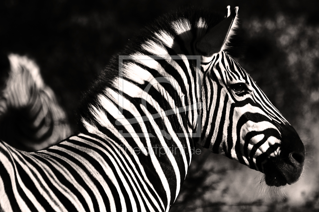 Bild-Nr.: 9308225 Stripes erstellt von Henner