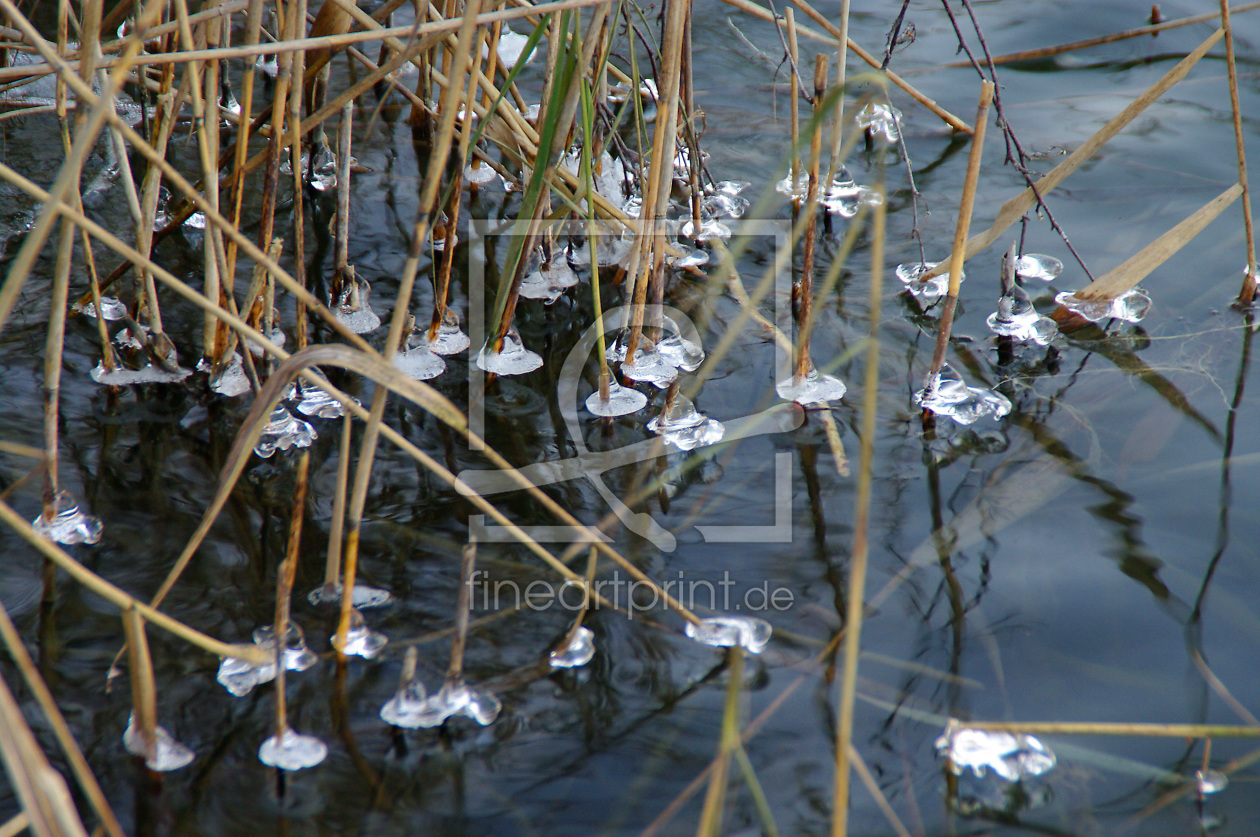 Bild-Nr.: 9313808 Perlen im See erstellt von roebri2