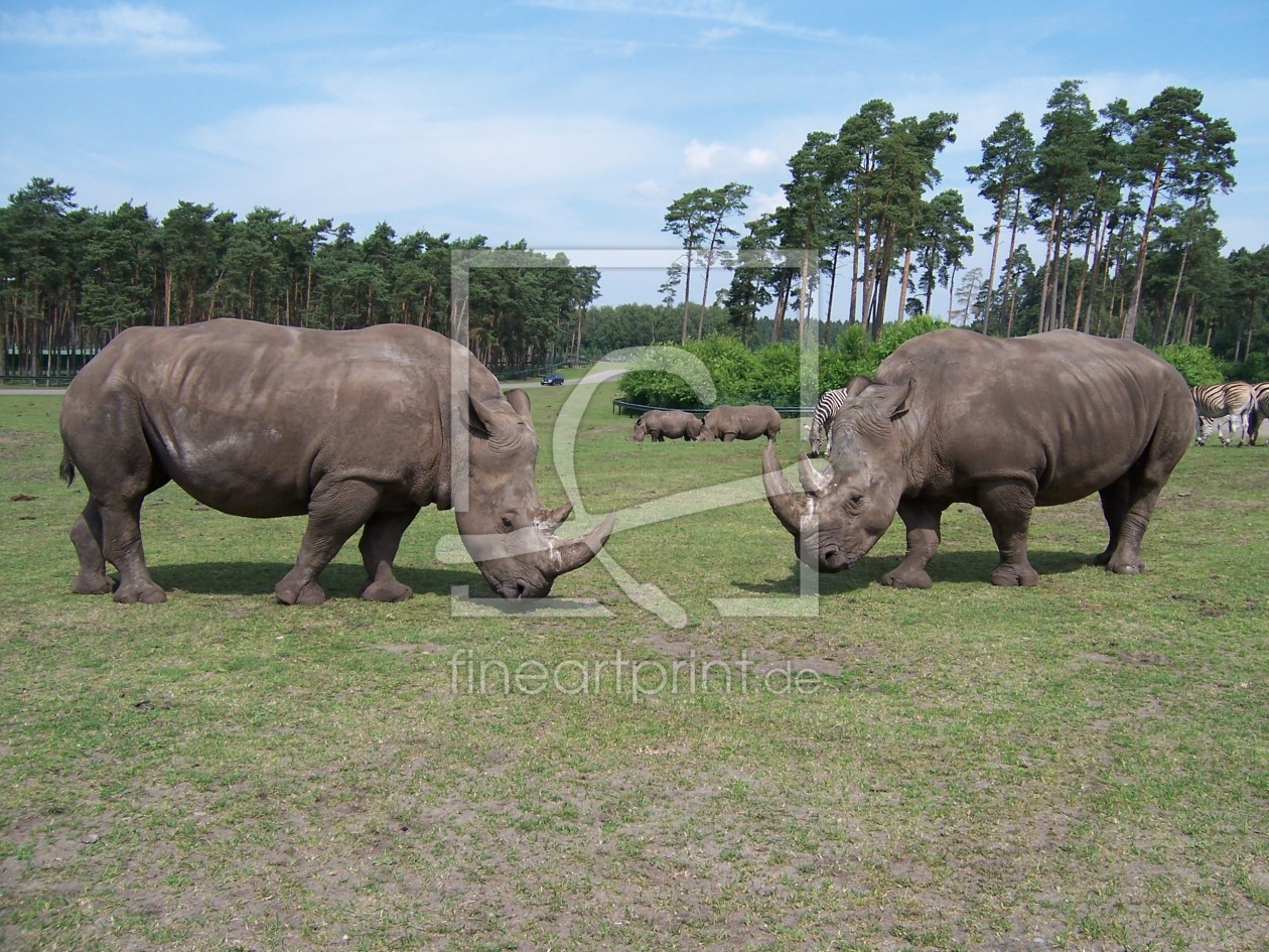 Bild-Nr.: 9318276 Nashorn erstellt von andreh