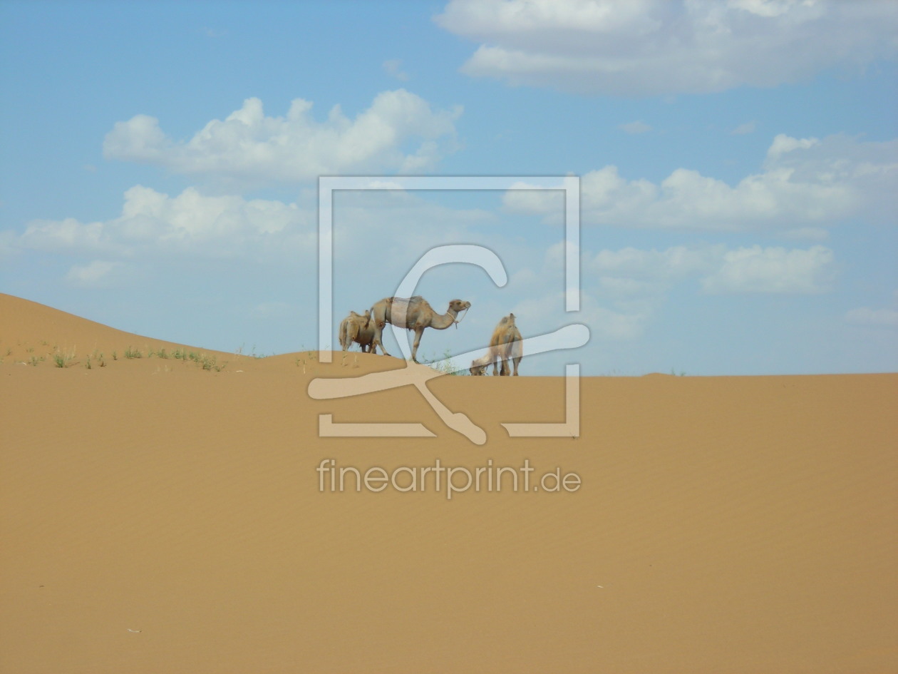 Bild-Nr.: 9318432 Wüste erstellt von atteloiv