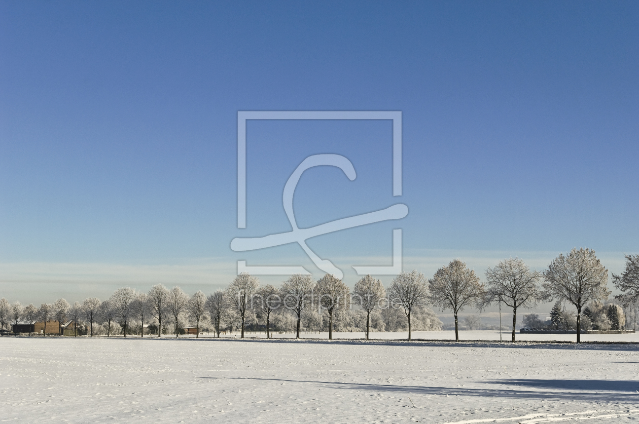 Bild-Nr.: 9320926 Winter am Niederrhein erstellt von macrofan