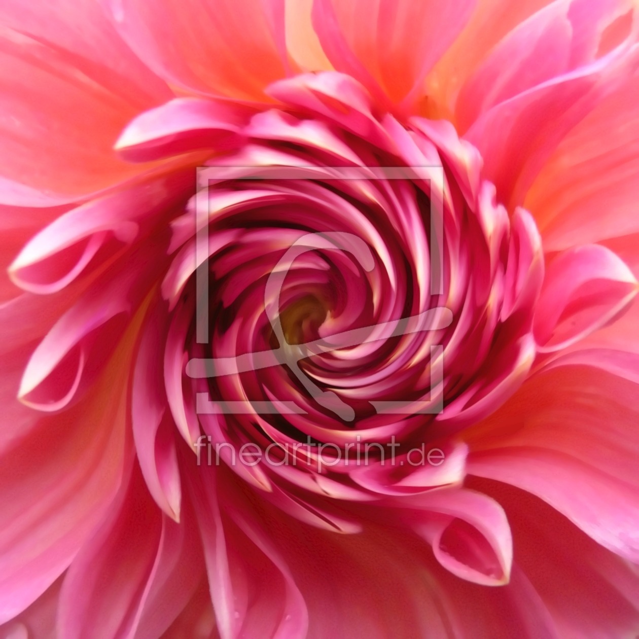 Bild-Nr.: 9321498 Dahlia Waltz.... erstellt von youhaveadream