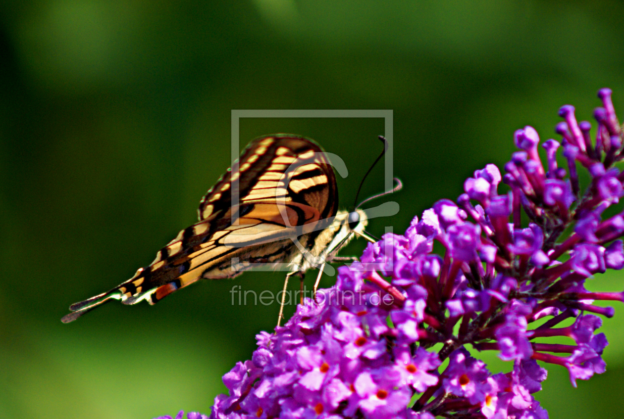 Bild-Nr.: 9336208 Stop over..... erstellt von youhaveadream