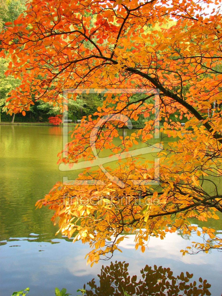 Bild-Nr.: 9336696 Schöne Herbstzeit erstellt von ichbinina