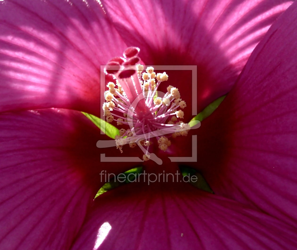 Bild-Nr.: 9345900 Licht-durchflutet..... erstellt von youhaveadream
