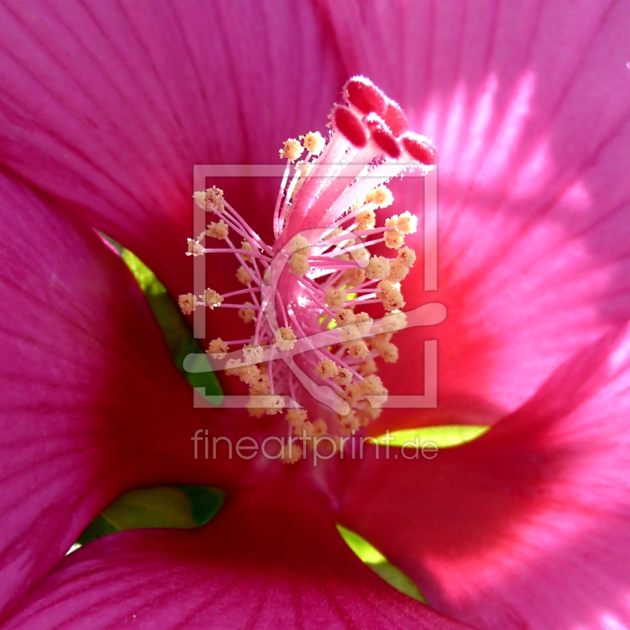 Bild-Nr.: 9348600 Flourishing..... erstellt von youhaveadream