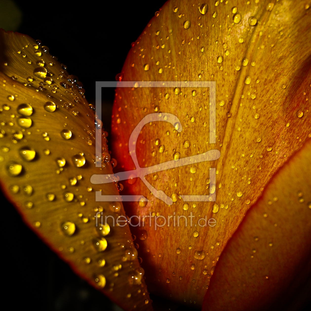 Bild-Nr.: 9358480 Goldene Blume erstellt von vila