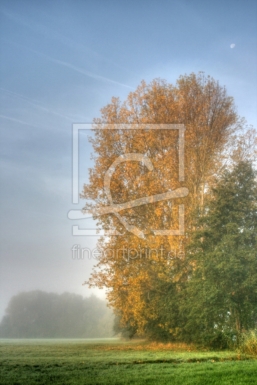 Bild-Nr.: 9358644 Herbstmorgen erstellt von Fotoso