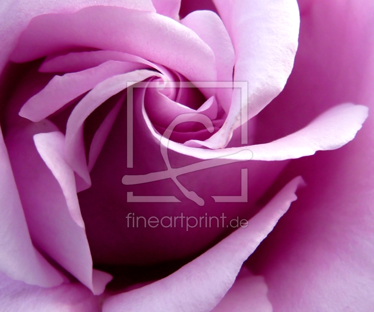 Bild-Nr.: 9364666 Pink Lady erstellt von youhaveadream