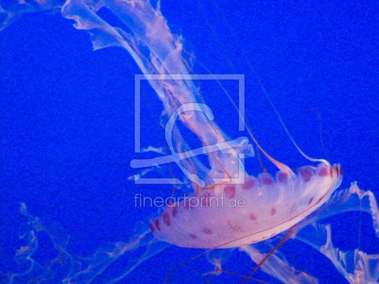 Bild-Nr.: 9367094 Jelly  erstellt von Marion227