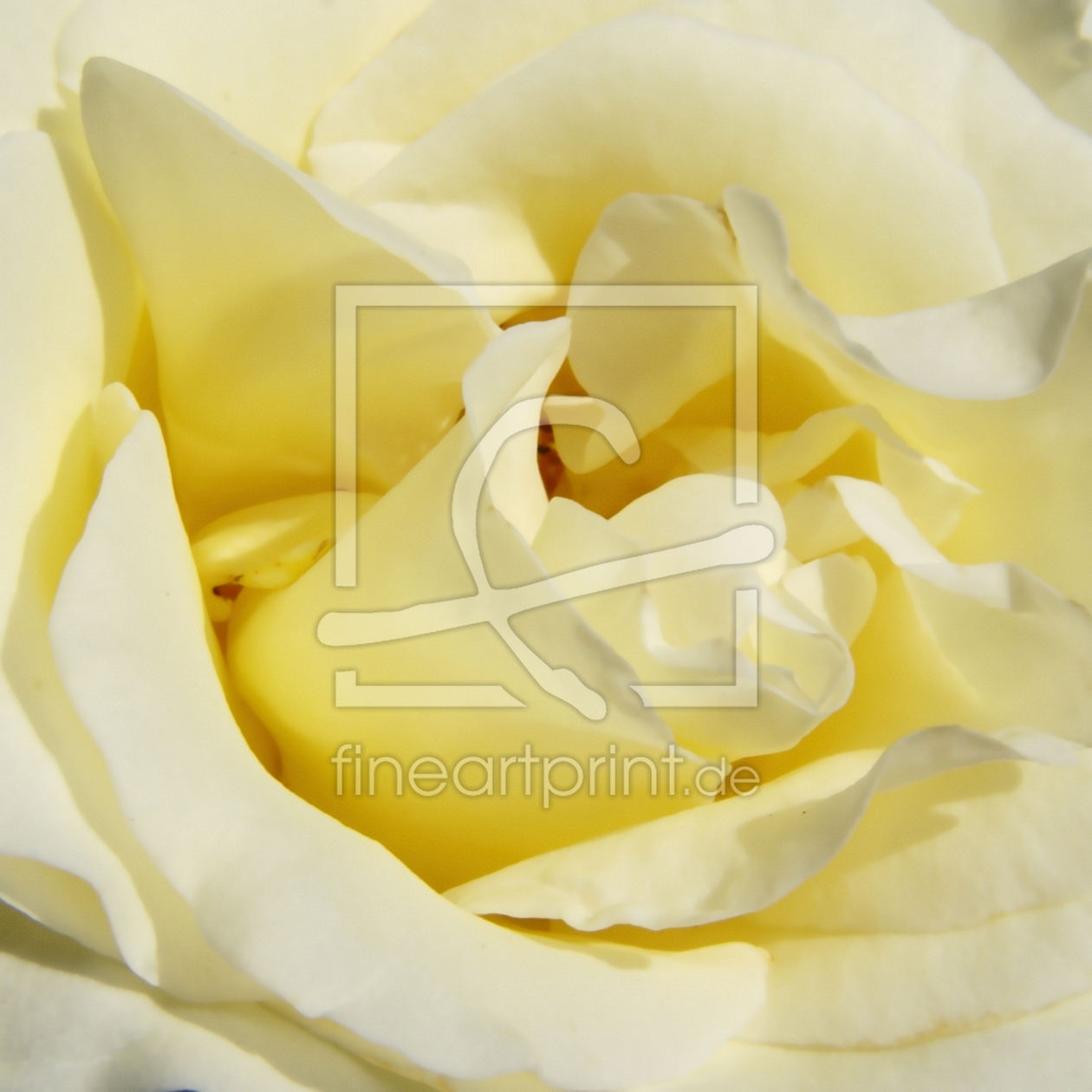 Bild-Nr.: 9367886 Paris s´éveille..... erstellt von youhaveadream