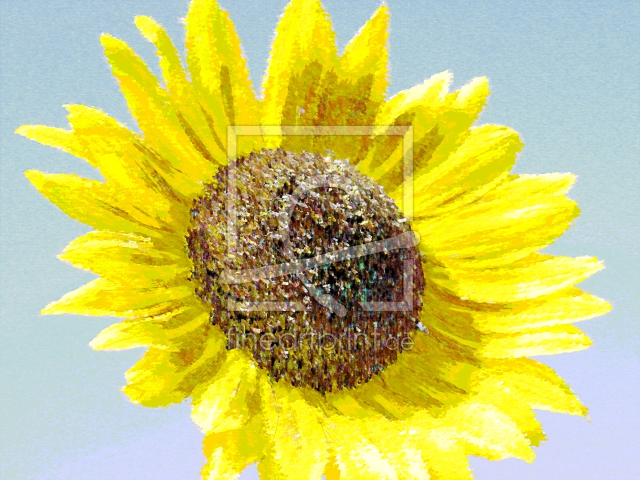 Bild-Nr.: 9369432 Sonneblume mit Wasserfarben erstellt von t-zapf