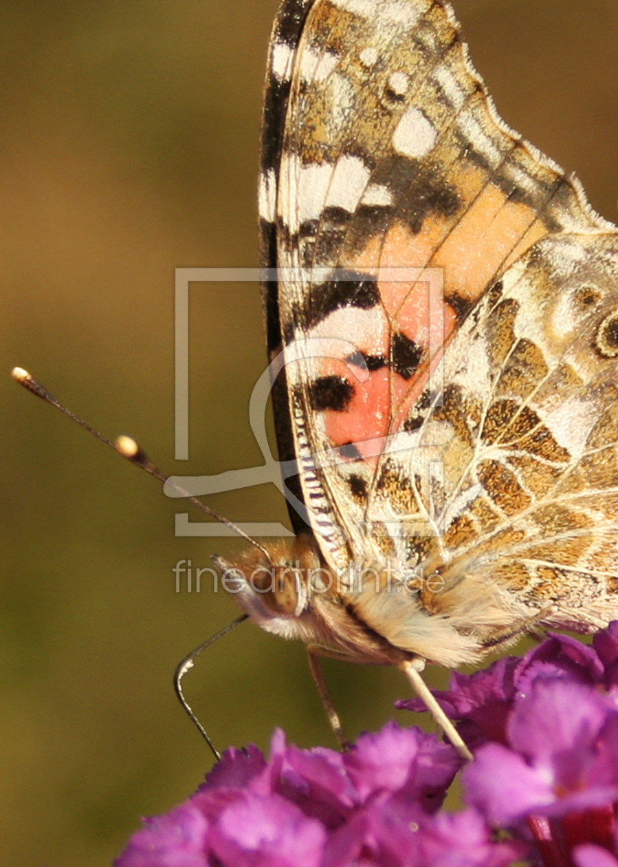 Bild-Nr.: 9369660 Schau mir in die Augen Kleines... erstellt von lilalotus23