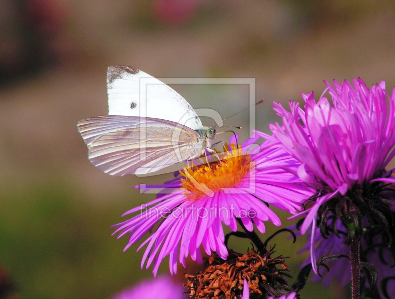 Bild-Nr.: 9372030 Herbstleckerreien erstellt von Renate Knapp