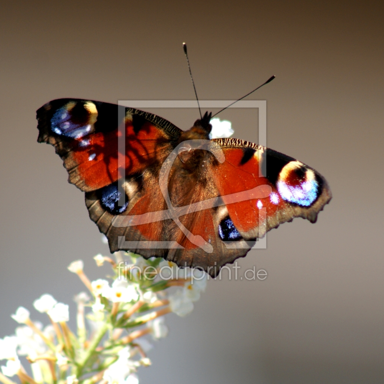 Bild-Nr.: 9372888 See you later..... erstellt von youhaveadream