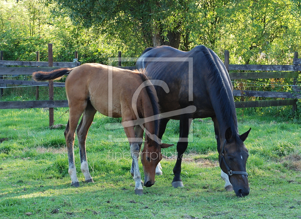 Bild-Nr.: 9379380 Mutter und Tochter erstellt von Heide Wilhelm