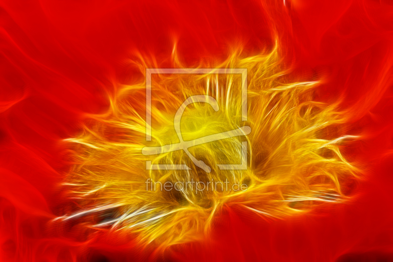 Bild-Nr.: 9381904 Feuerblume erstellt von Uwe Jahn