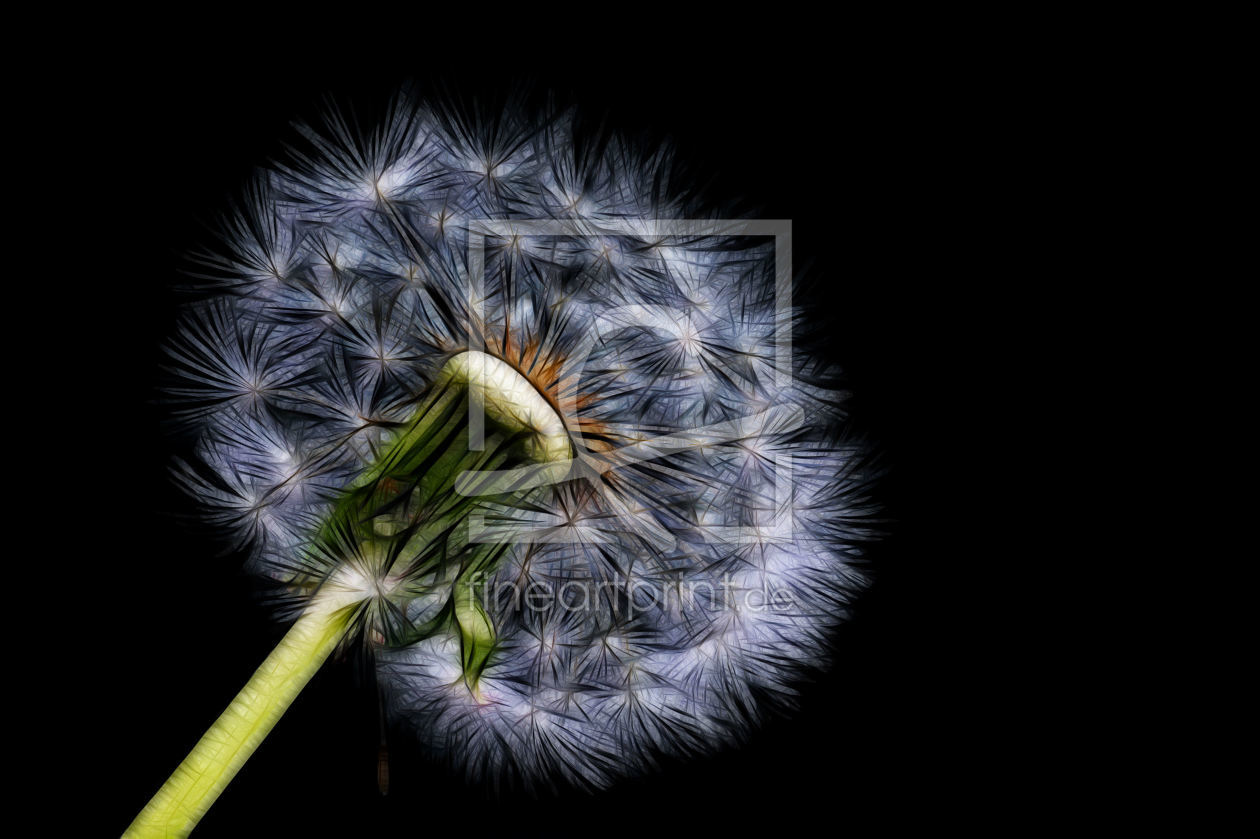 Bild-Nr.: 9382944 Pusteblume erstellt von Uwe Jahn