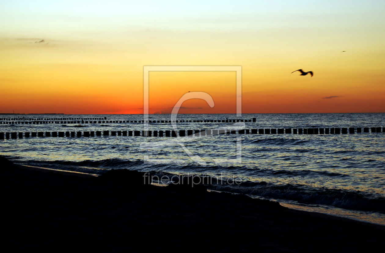 Bild-Nr.: 9385406 möwe sonnenuntergang ostsee erstellt von bildpics