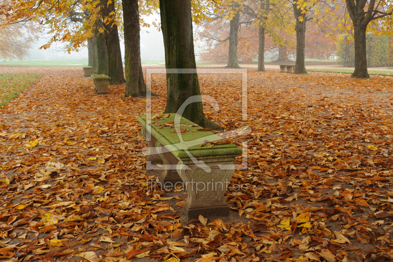 Bild-Nr.: 9387108 Herbst erstellt von sommerfoto