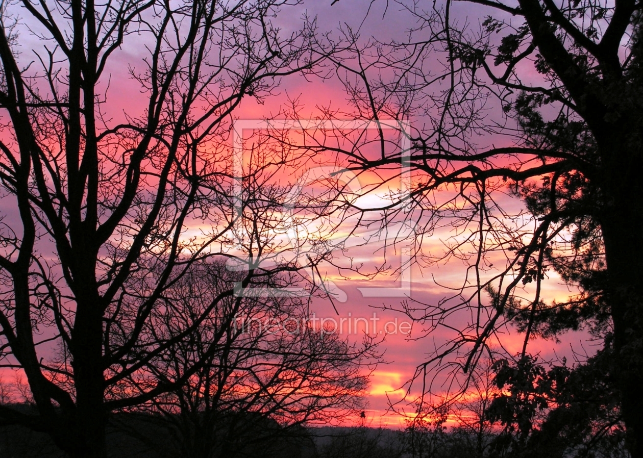 Bild-Nr.: 9390404 Wintersonnenuntergänge erstellt von Renate Knapp