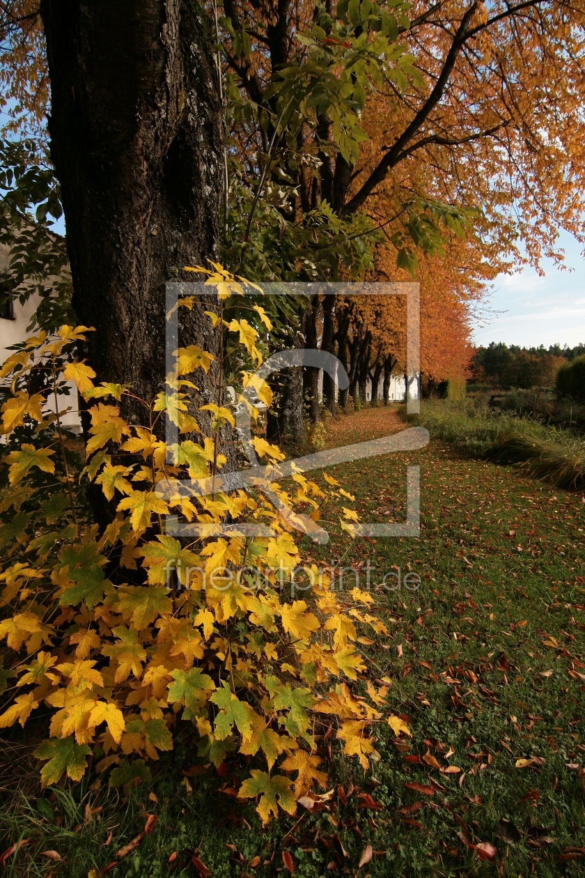 Bild-Nr.: 9390458 Herbst erstellt von DerScheinriese