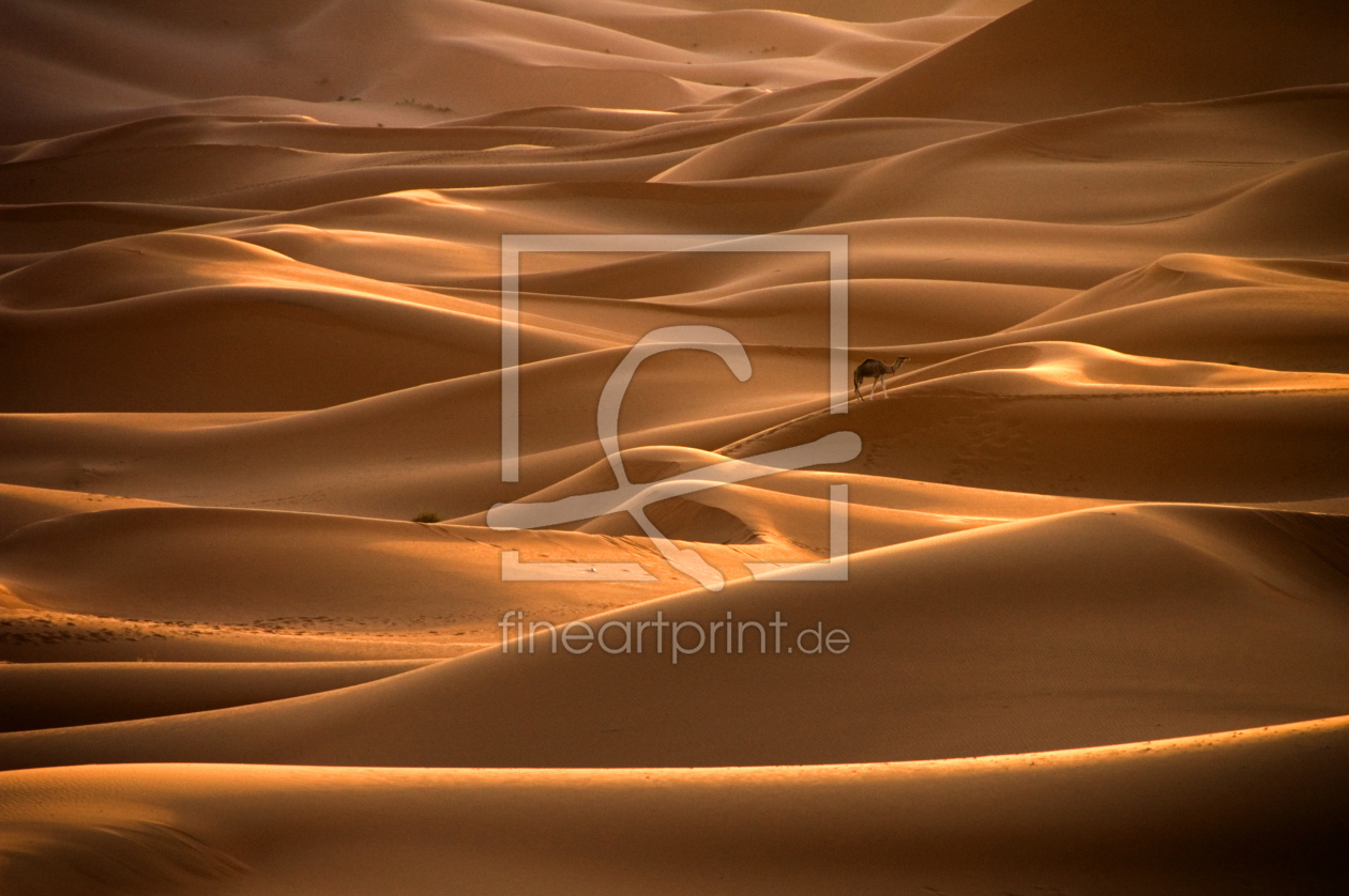 Bild-Nr.: 9391870 Wenn es Tag wird in der Sahara erstellt von fennomenal