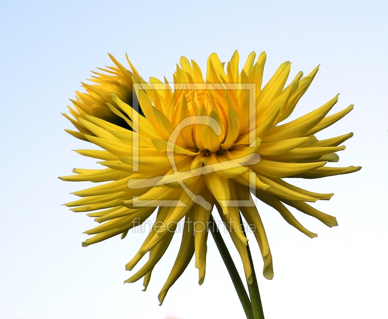 Bild-Nr.: 9396848 Sonne mit Kind erstellt von Renate Knapp