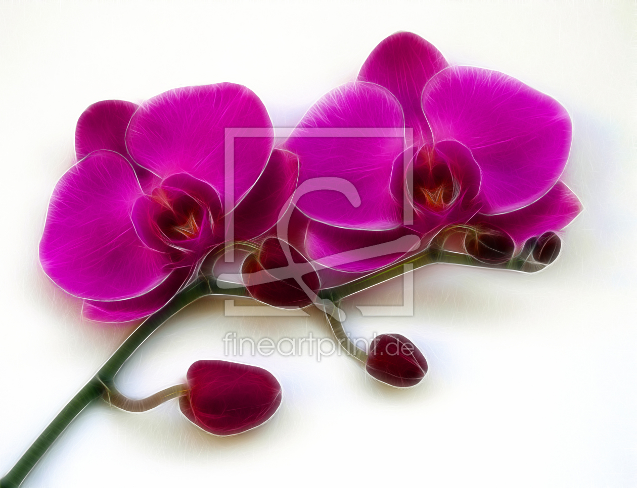 Bild-Nr.: 9398496 Orchidee erstellt von Uwe Jahn