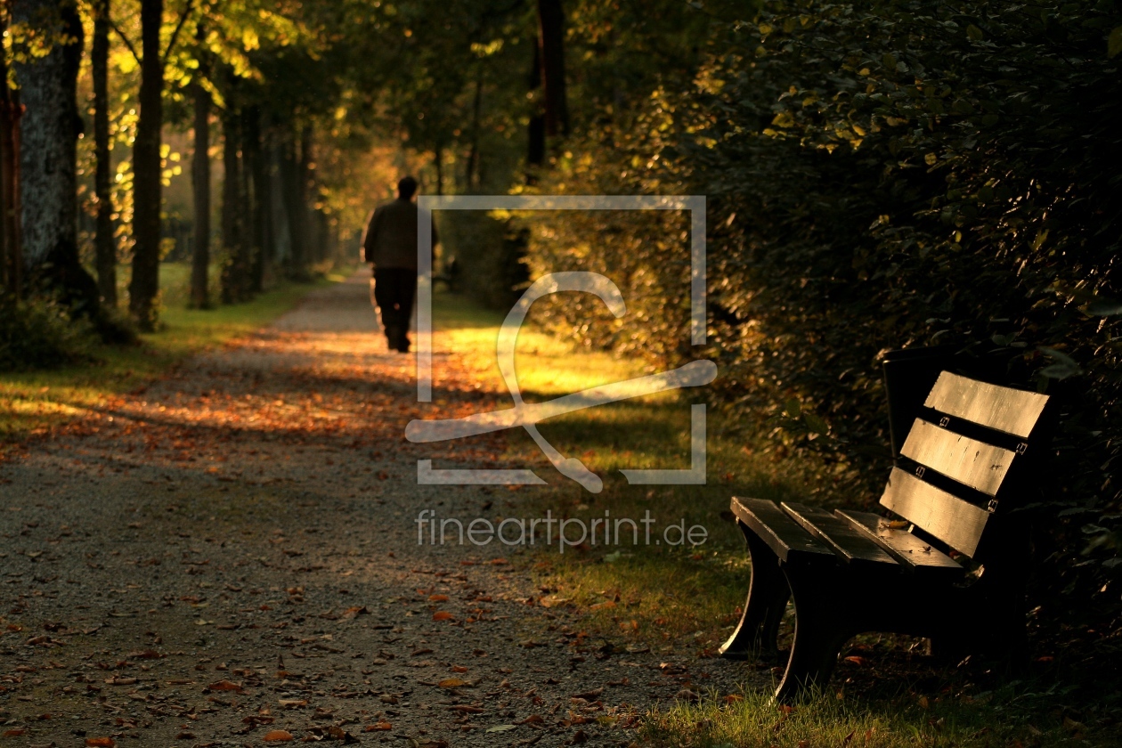 Bild-Nr.: 9399592 Herbst erstellt von DerScheinriese