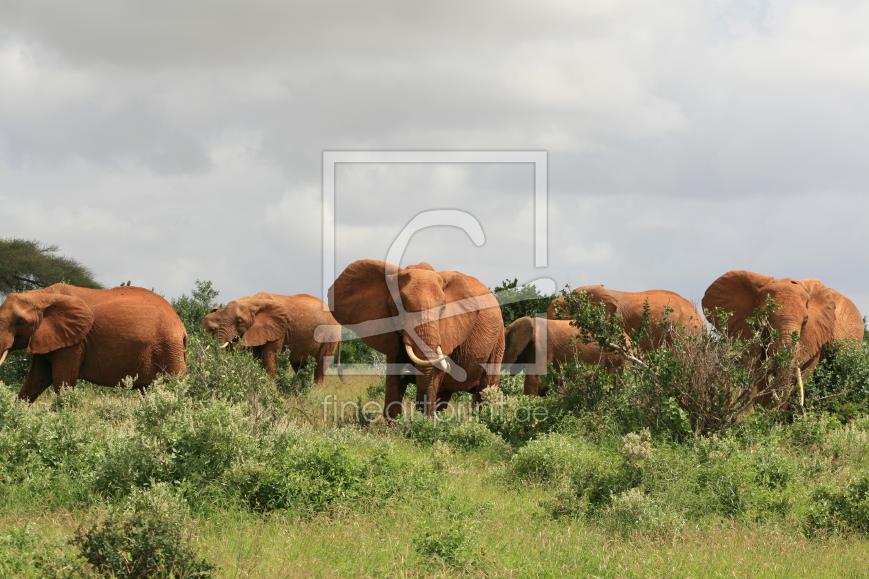 Bild-Nr.: 9401206 Elefanten erstellt von Kruemelxy