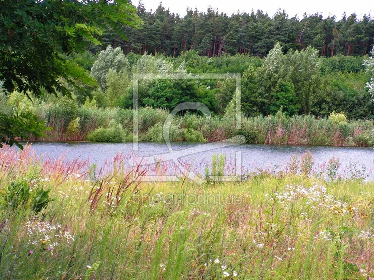 Bild-Nr.: 9405678 Sommer am See erstellt von Renate Knapp
