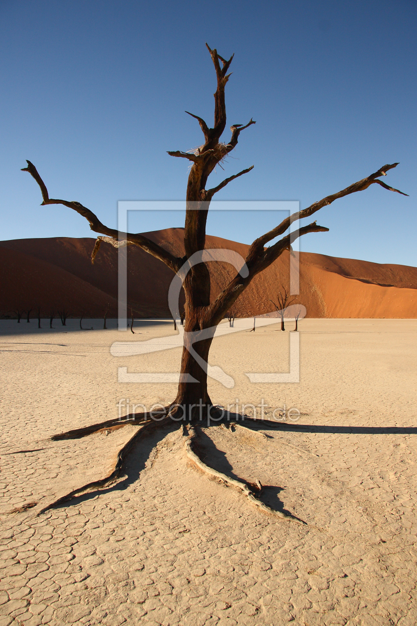 Bild-Nr.: 9408092 Dead Tree erstellt von Henner