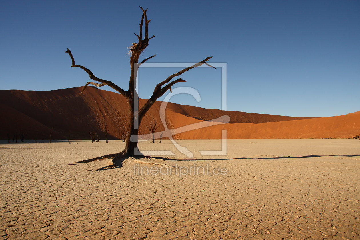 Bild-Nr.: 9408094 Dead Tree erstellt von Henner