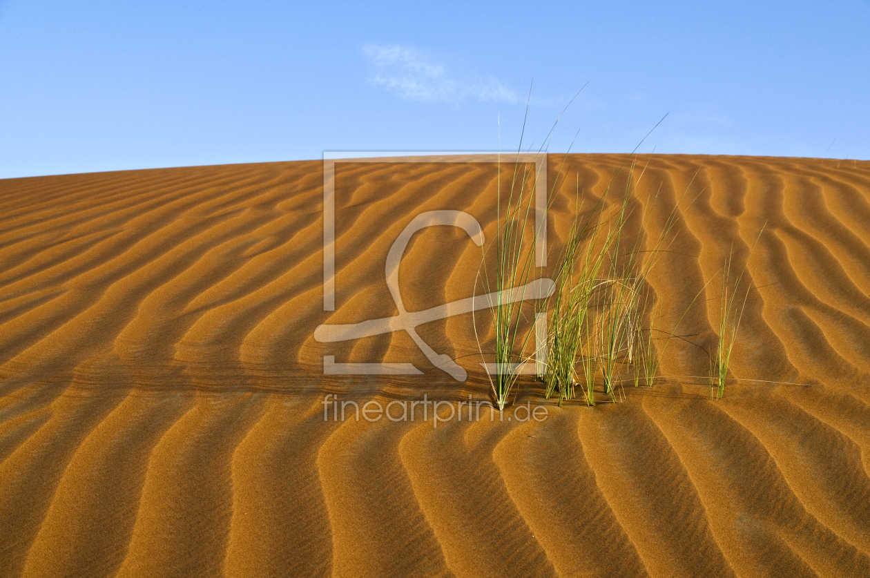 Bild-Nr.: 9410850 Wüste erstellt von danielschoenen