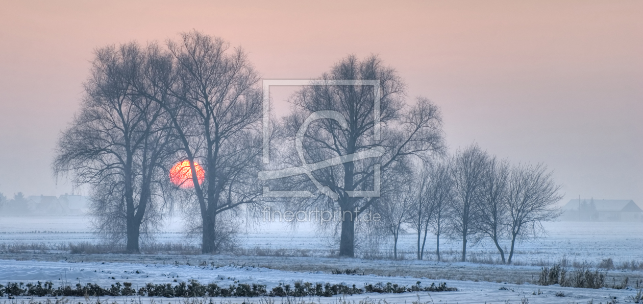 Bild-Nr.: 9412130 Sonne im Frost erstellt von PeterTost