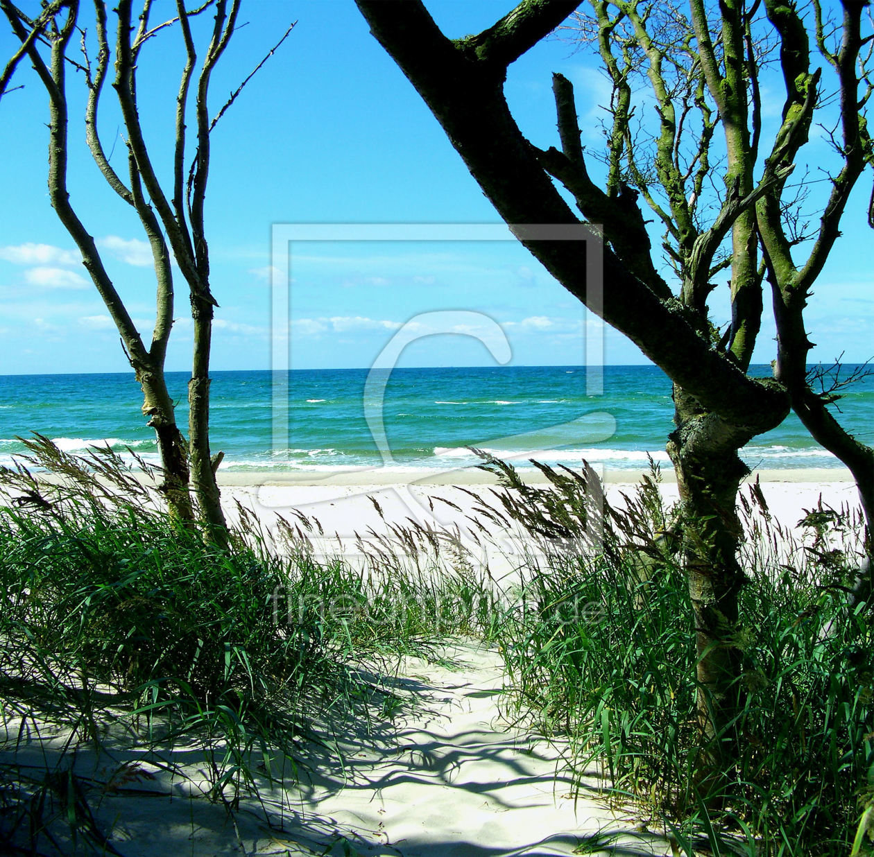 Bild-Nr.: 9412988 Ostsee-Strand-Prerow I erstellt von Eliqua