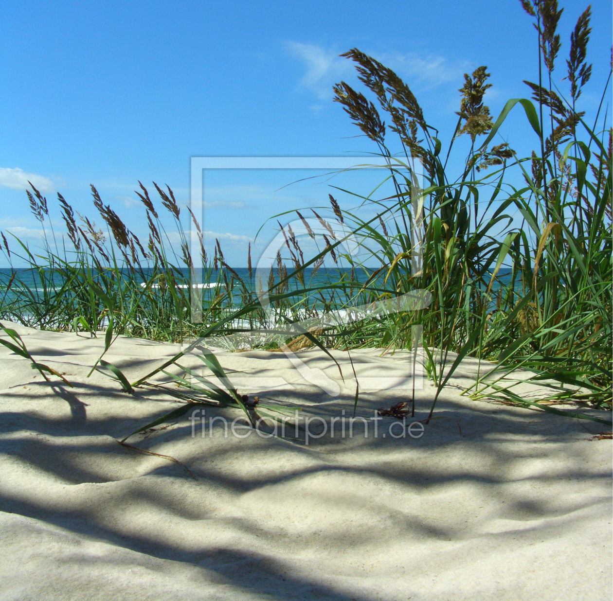 Bild-Nr.: 9413008 Ostsee-Strand-Prerow III erstellt von Eliqua