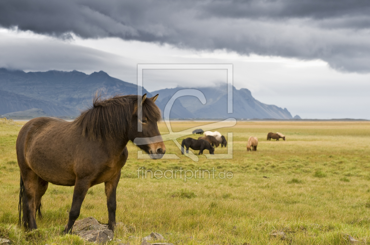 Bild-Nr.: 9414154 Island_4 erstellt von danielschoenen