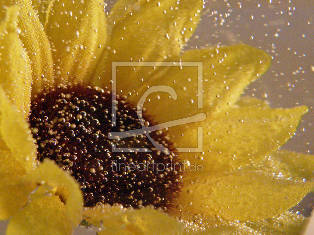 Bild-Nr.: 9416572 Sunflower with Power erstellt von gertrud20020