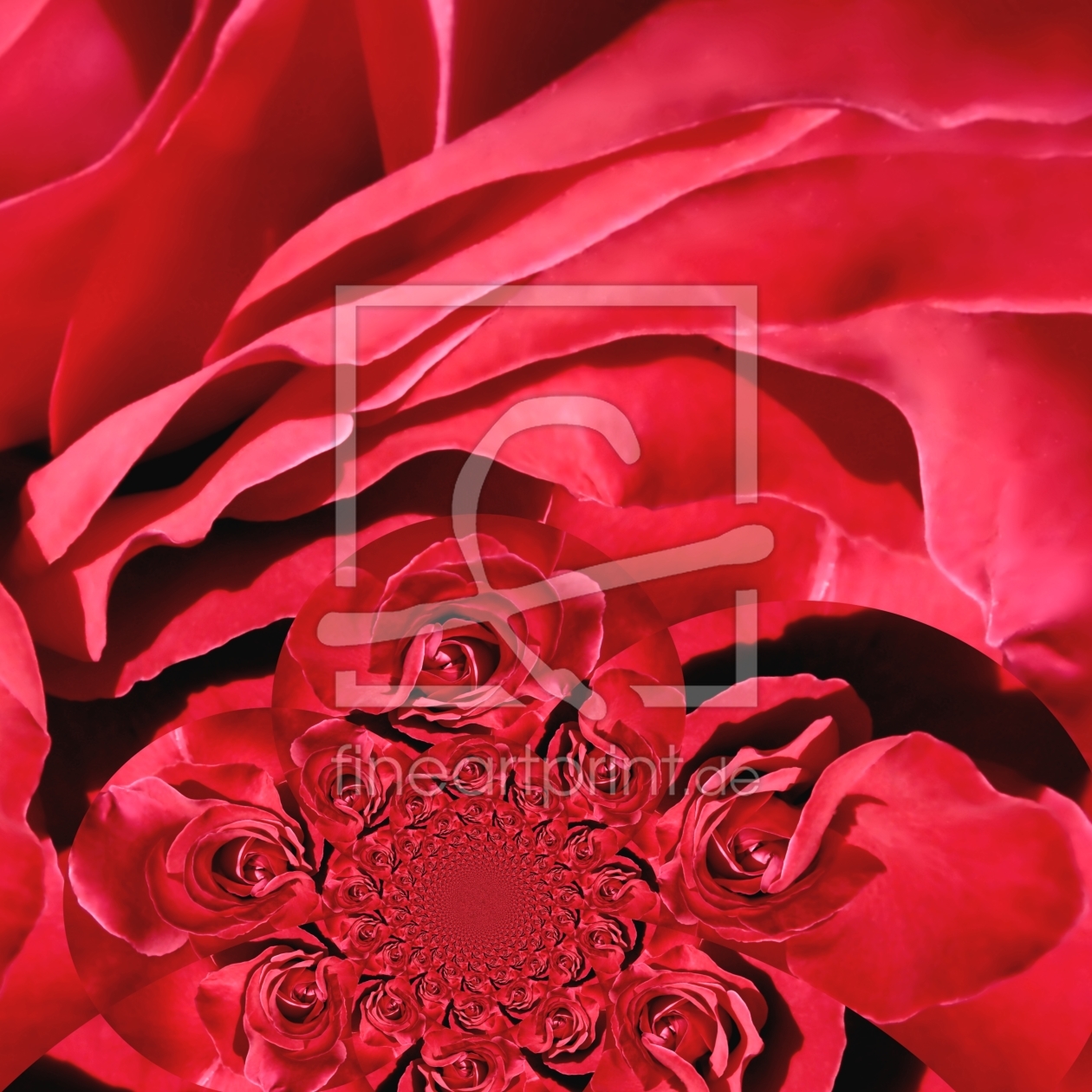 Bild-Nr.: 9422014 Für Dich solls rote Rosen regnen...... erstellt von youhaveadream