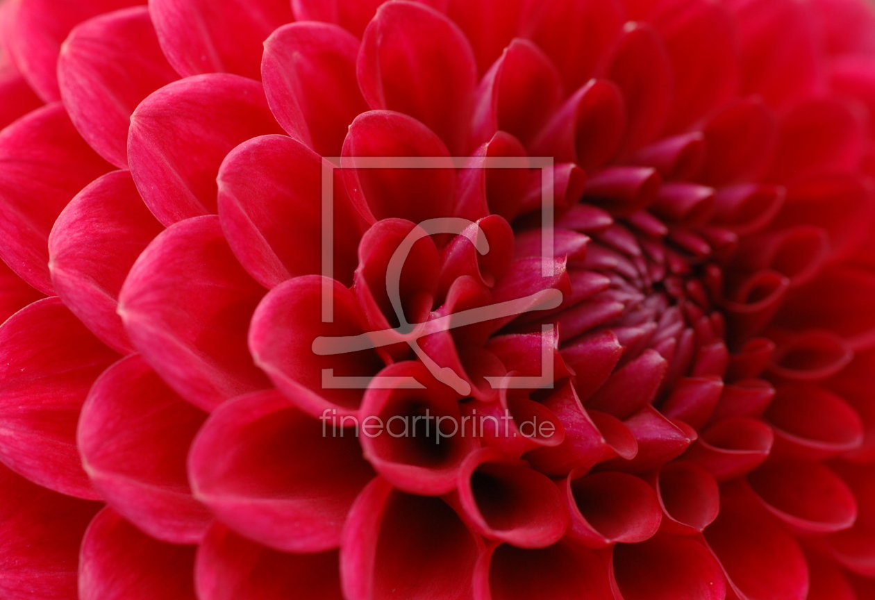 Bild-Nr.: 9422642 Rotes Meer erstellt von Stupsi