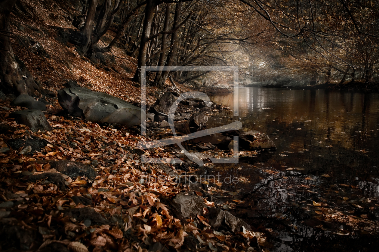 Bild-Nr.: 9425504 Herbstlich(t) erstellt von Frank Wächter