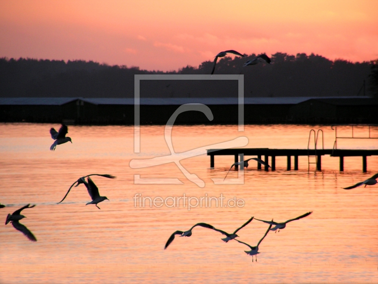 Bild-Nr.: 9430460 Ein Winterabend an der Müritz erstellt von Renate Knapp