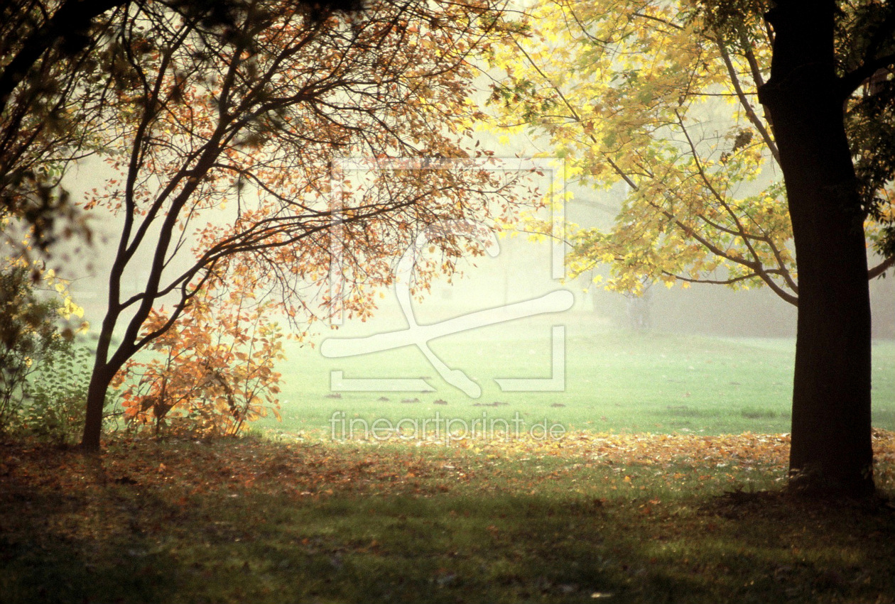 Bild-Nr.: 9431508 Herbststimmung erstellt von Jürgen Kasperek