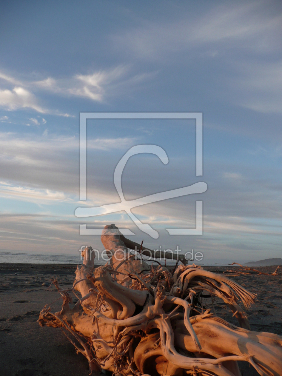 Bild-Nr.: 9432758 Am Strand erstellt von csausbs