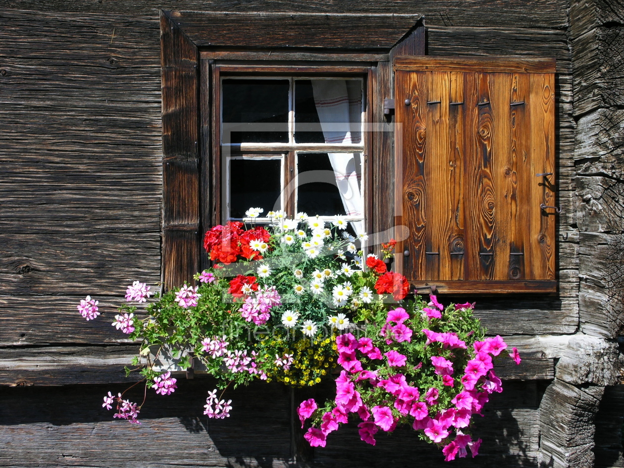 Bild-Nr.: 9438740 Blumenfenster erstellt von birdPIXX