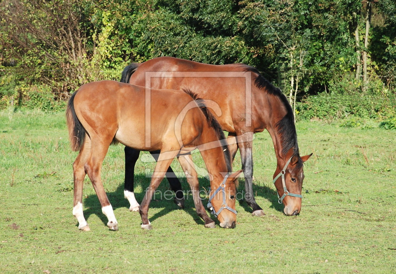 Bild-Nr.: 9446658 Bruder und Schwester erstellt von Heide Wilhelm