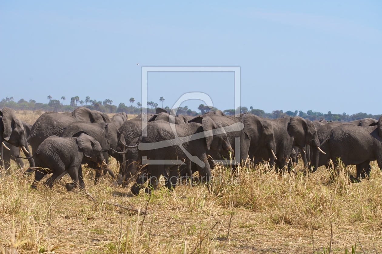 Bild-Nr.: 9452074 Elefantenherde erstellt von Ningaloo